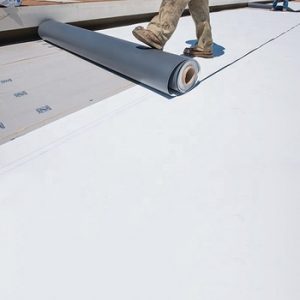 Thermoplastic Polyolefin roofing service toronto